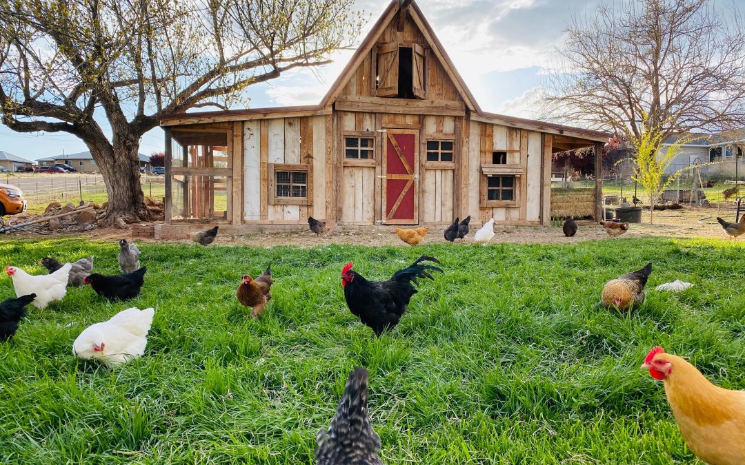 Versatile Uses for Straw This Season