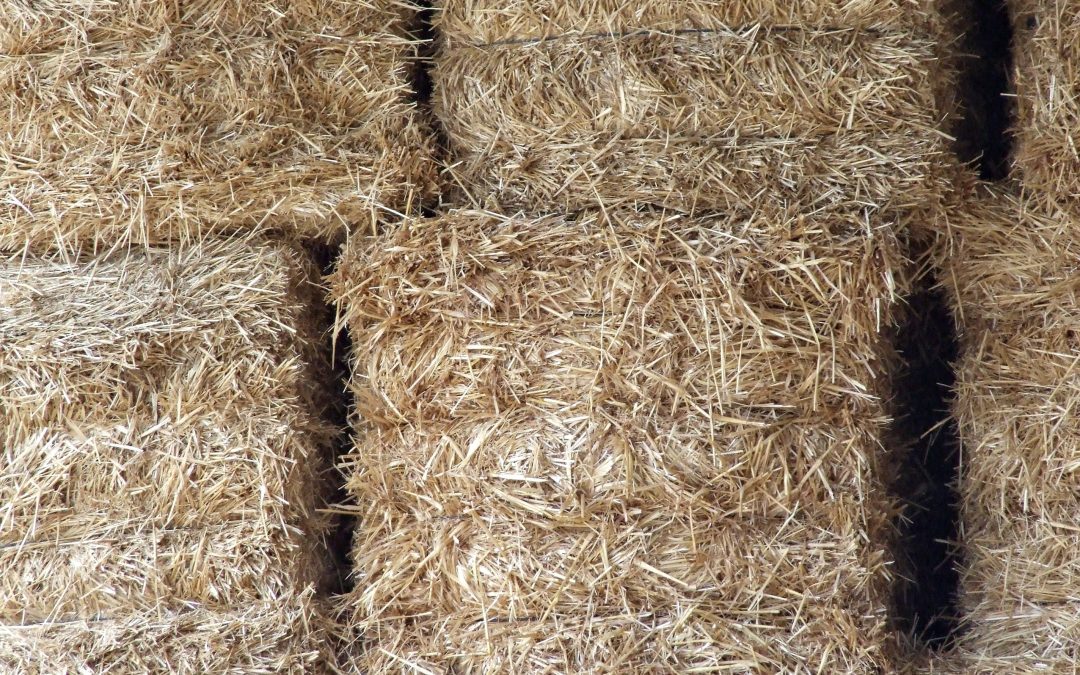 Unique Ways That You Can Use Straw